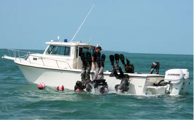 The toughest course in the US military environment, where real-life 'Aquamans' are born Picture 1
