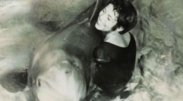 Picture 3 of The true love story of a dolphin and a young girl, the shocking act of being separated makes everyone stunned