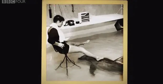Picture 4 of The true love story of a dolphin and a young girl, the shocking act of being separated makes everyone stunned