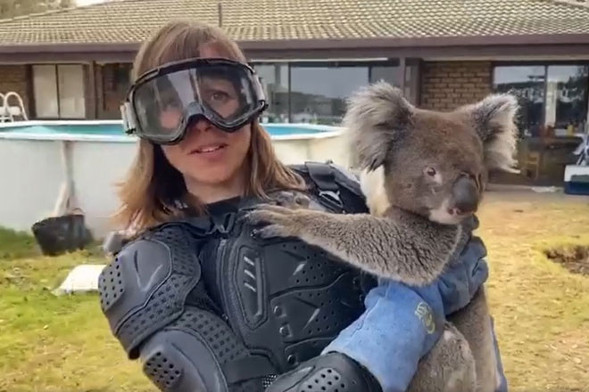 Picture 4 of The truth about the ferocious carnivorous bear in Australian legend