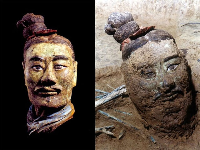 Picture 2 of The truth about white 'flowers' blooming under the microscope of the terracotta army
