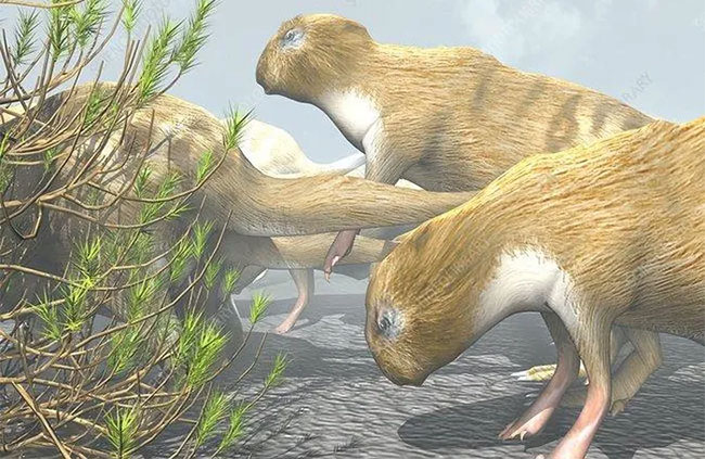 Picture 3 of The truth that makes the scientific world semi-credible: Prehistoric rats were as big as today's horses?