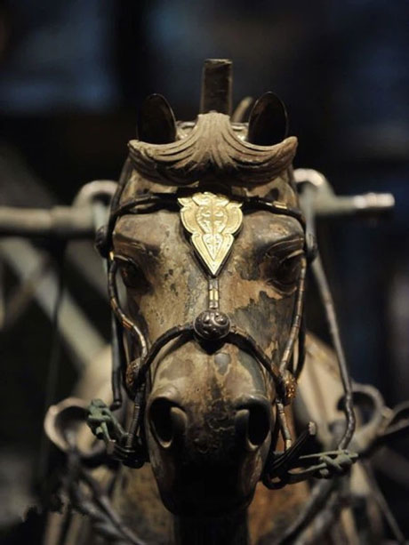 Picture 2 of The two largest bronze chariots in the tomb of Qin Shi Huang come to life incredibly
