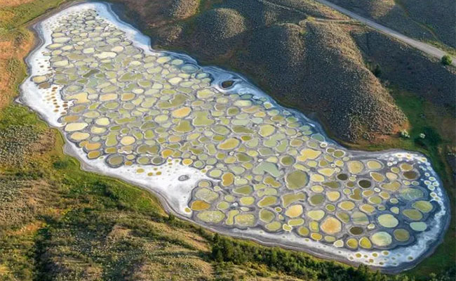 Picture 1 of The unique 'polka-dot' lake is likened to Mars on Earth