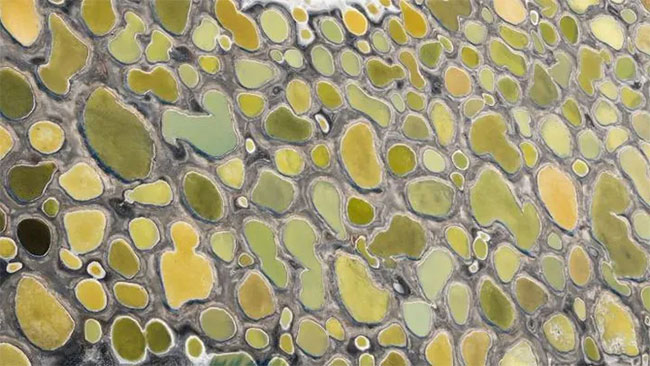Picture 2 of The unique 'polka-dot' lake is likened to Mars on Earth