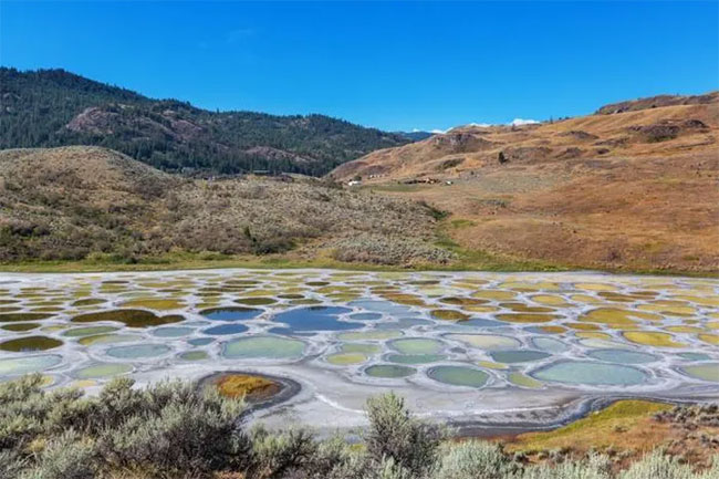 Picture 3 of The unique 'polka-dot' lake is likened to Mars on Earth