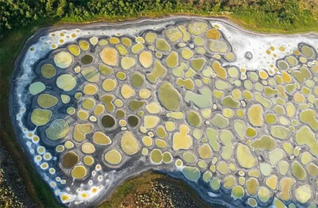 Picture 4 of The unique 'polka-dot' lake is likened to Mars on Earth