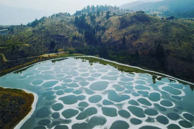 Picture 6 of The unique 'polka-dot' lake is likened to Mars on Earth