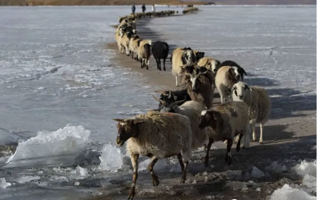 Picture 4 of The village is harsh, the oxygen level is extremely low, but why does no one want to leave?