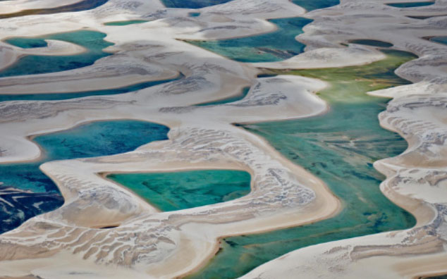 Picture 2 of The 'weirdest desert in the world': The golden sand dunes are nowhere to be seen, only a lake with fish and shrimp