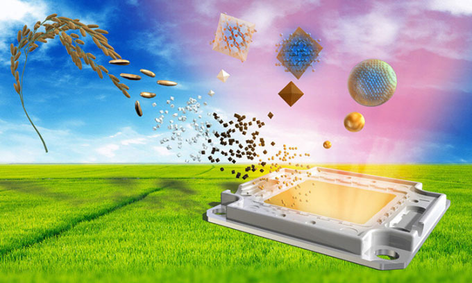 Picture 1 of The world's first LED light made from rice husks