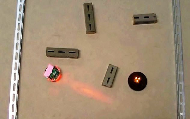 Picture 1 of The world's first 'thinking' robot developed from brain cells