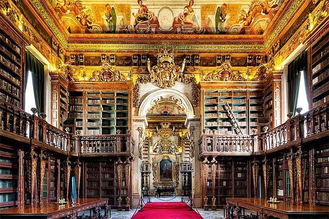 The world's most beautiful library uses 'bats' to preserve old books ...