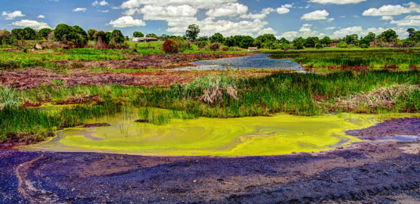 Picture 1 of The world's most 'unusual' lake: There are not many countries but many countries want to own it
