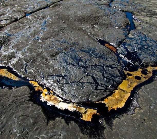 Picture 5 of The world's most 'unusual' lake: There are not many countries but many countries want to own it