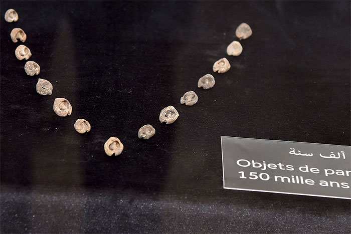 Picture 2 of The world's oldest jewelry necklace is up to 150,000 years old