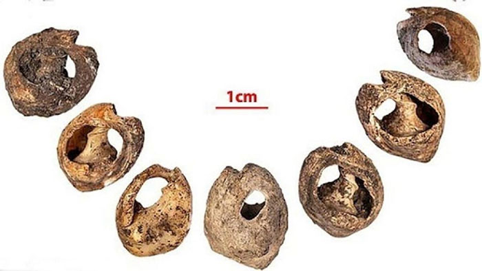 Picture 3 of The world's oldest jewelry necklace is up to 150,000 years old