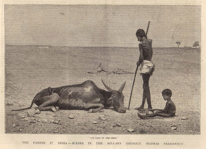 Picture 3 of The worst famines in human history