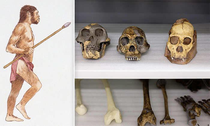 Picture 2 of There is a 130,000 year gap in human evolutionary history, so what happened during this period?