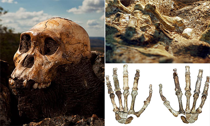 Picture 3 of There is a 130,000 year gap in human evolutionary history, so what happened during this period?