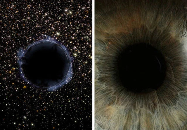There is a hidden universe inside our bodies and this is proof Picture 1