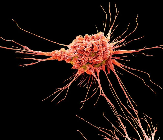 There is a hidden universe inside our bodies and this is proof Picture 17