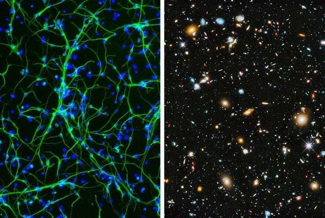 There is a hidden universe inside our bodies and this is proof Picture 3
