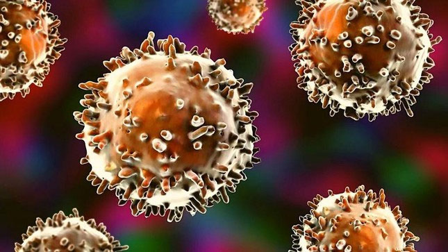 There is evidence of mysterious cells in the human immune system Picture 1