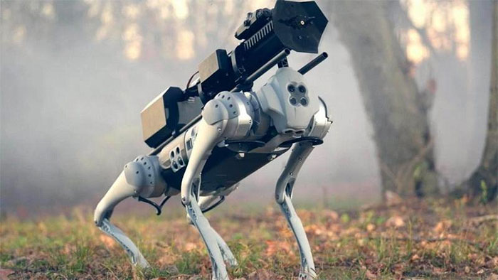 Thermonator - The world's first fire-breathing robot dog