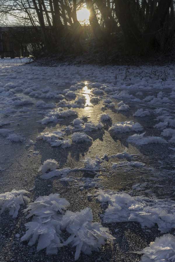 Picture 1 of These images depict the harshness of the Russian winter, yet they are incredibly beautiful.