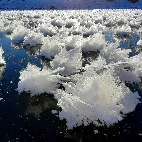 Picture 12 of These images depict the harshness of the Russian winter, yet they are incredibly beautiful.