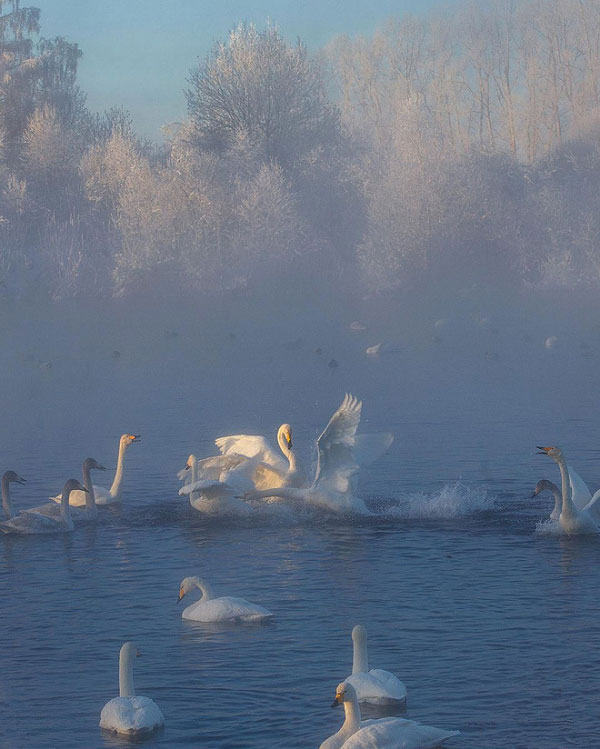 Picture 14 of These images depict the harshness of the Russian winter, yet they are incredibly beautiful.