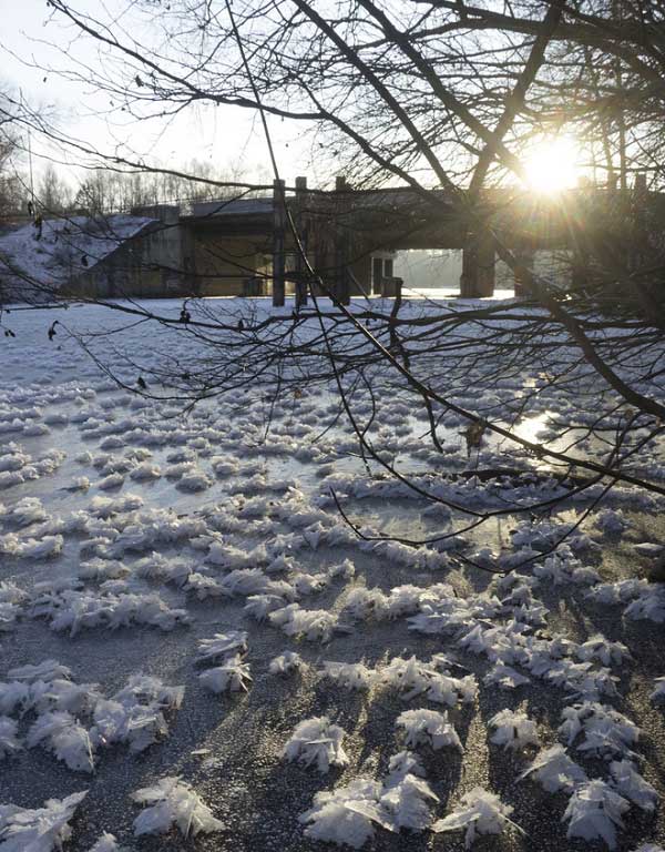 Picture 2 of These images depict the harshness of the Russian winter, yet they are incredibly beautiful.