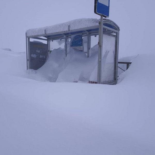 Picture 3 of These images depict the harshness of the Russian winter, yet they are incredibly beautiful.