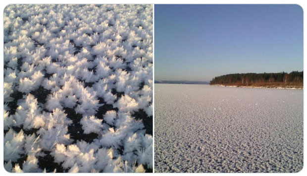 Picture 8 of These images depict the harshness of the Russian winter, yet they are incredibly beautiful.