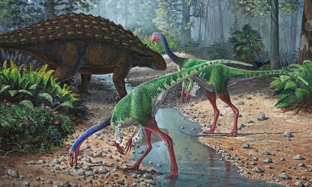 Picture 1 of Things you didn't know about dinosaurs