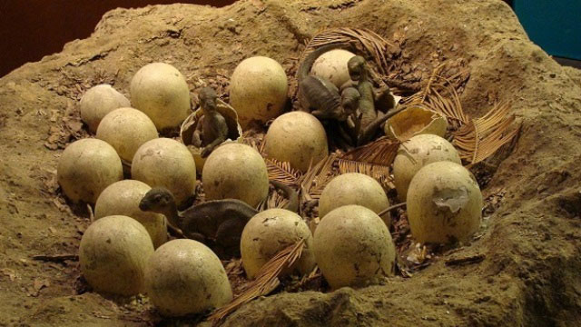 Picture 3 of Things you didn't know about dinosaurs