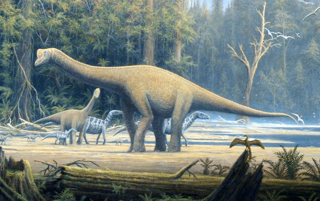 Picture 4 of Things you didn't know about dinosaurs