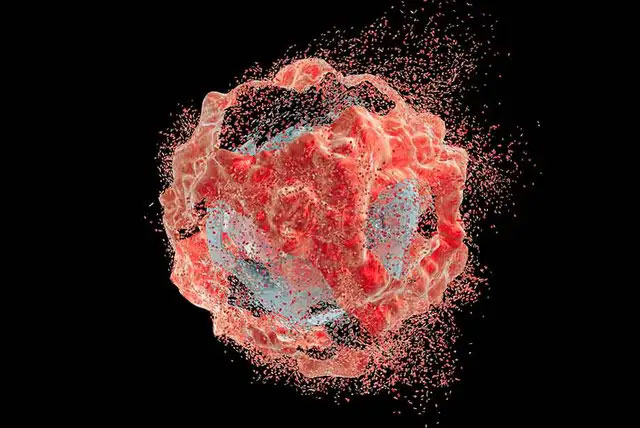 This cancer cell has been nurtured for 70 years, the volume alone is more than 50 million tons Picture 1