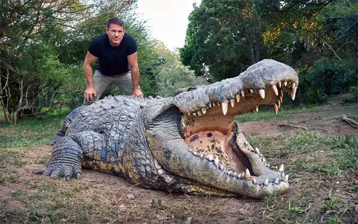 Picture 1 of This is the oldest crocodile in the world