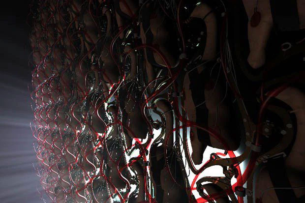 This is the perspective of chickens being raised in captivity like the way humans have to experience in the movie The Matrix Picture 4