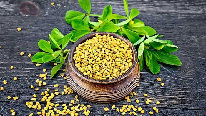 Picture 1 of This precious plant is considered 'natural insulin', helping to effectively lower blood sugar and nourish the liver