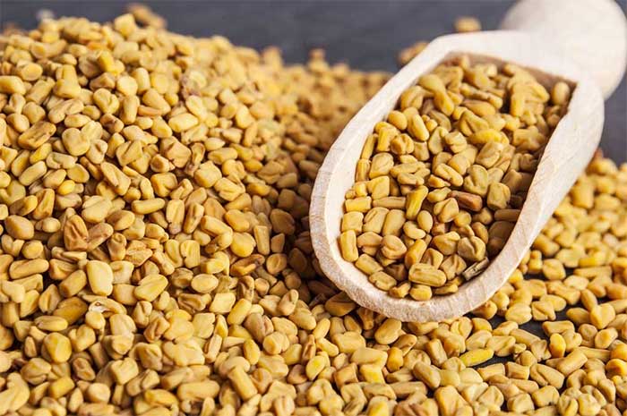 Picture 2 of This precious plant is considered 'natural insulin', helping to effectively lower blood sugar and nourish the liver