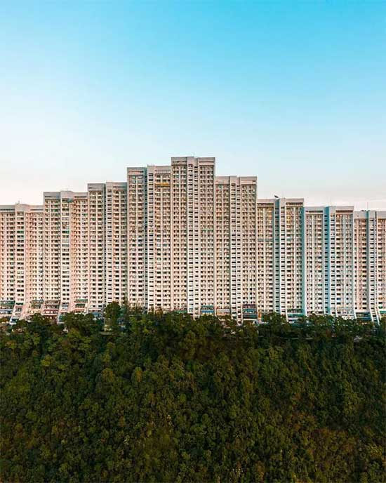 Picture 18 of This stunning urban set of photos explains why Hong Kong is known as the 'concrete jungle'