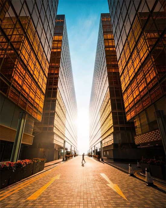 Picture 9 of This stunning urban set of photos explains why Hong Kong is known as the 'concrete jungle'