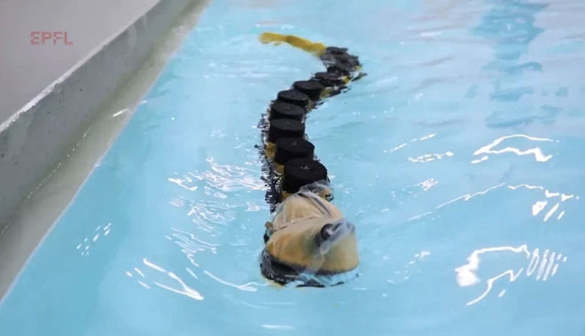 Picture 1 of This terrifying toothed parasitic fish inspired robotics