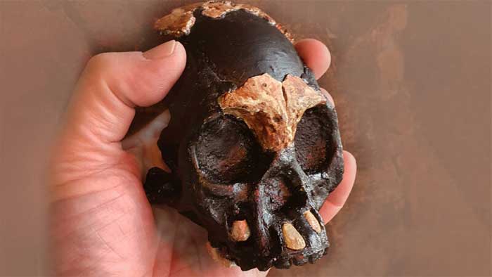 Picture 1 of Tiny skull: 'ghost humans' live side by side with us for 100,000 years