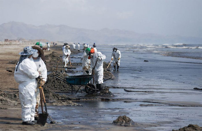 Picture 1 of Tonga tsunami causes 'ecological disaster' in Peru