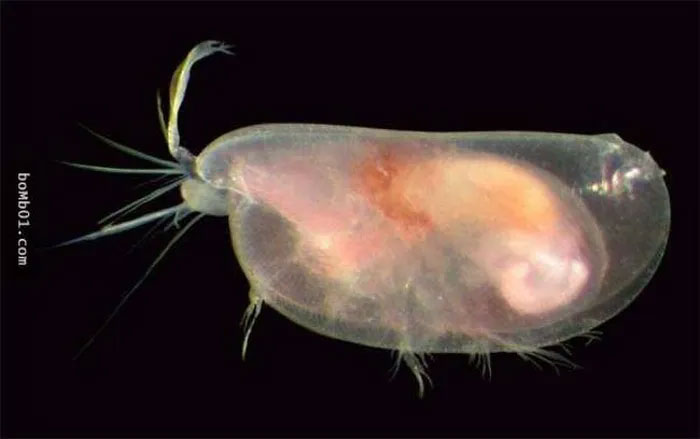 Picture 2 of Top 10 weird places that challenge scientists' ability to explain