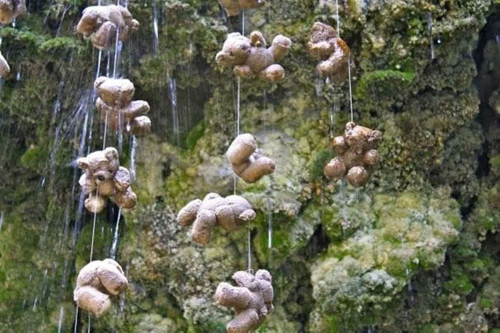 Picture 3 of Top 10 weird places that challenge scientists' ability to explain